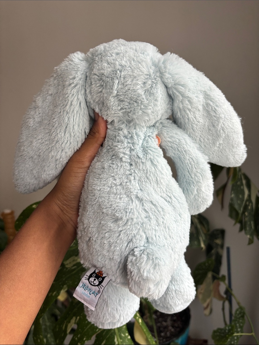 Jellycat Retired Bashful Beau Bunny Plush - Picture 4 of 6